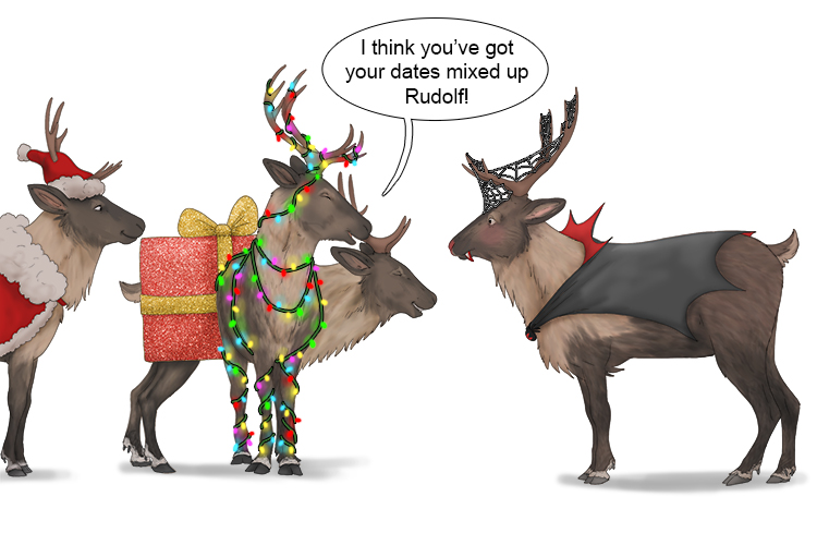 At Christmas (December), the reindeer wear themed costumed and embrace (diciembre) the holiday spirit. 